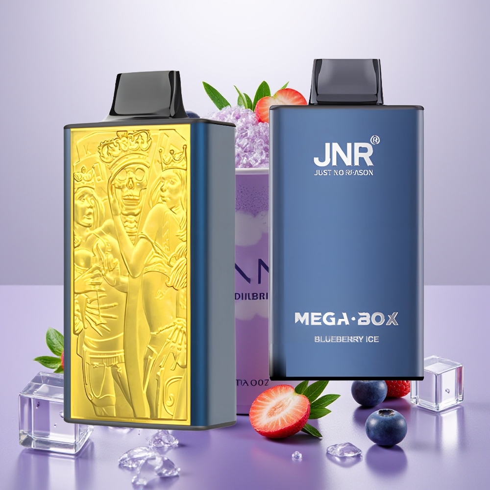 Wholesale Turkey JNR Mega Box 25000 Puffs Dual Mesh Coil Mavi Yemiş Buzu