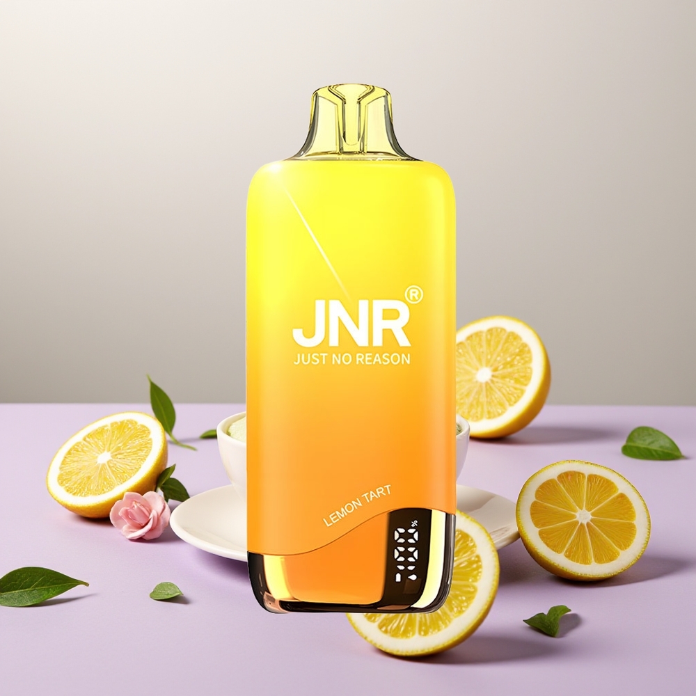 Wholesale Turkey JNR Rainbow 10500 Puff 18ml Limon Tart