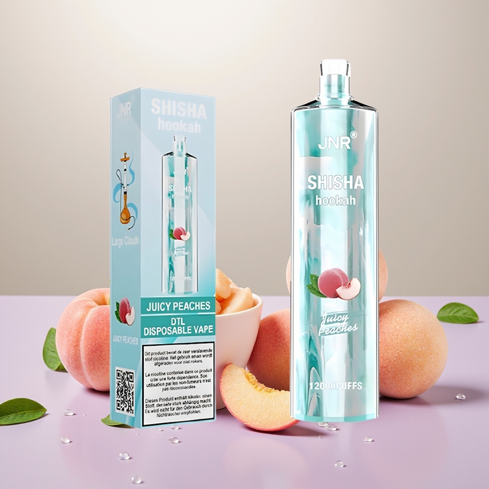 Wholesale Turkey JNR Shisha Hookah 12000 Puffs 750mAh Juici Şeftali