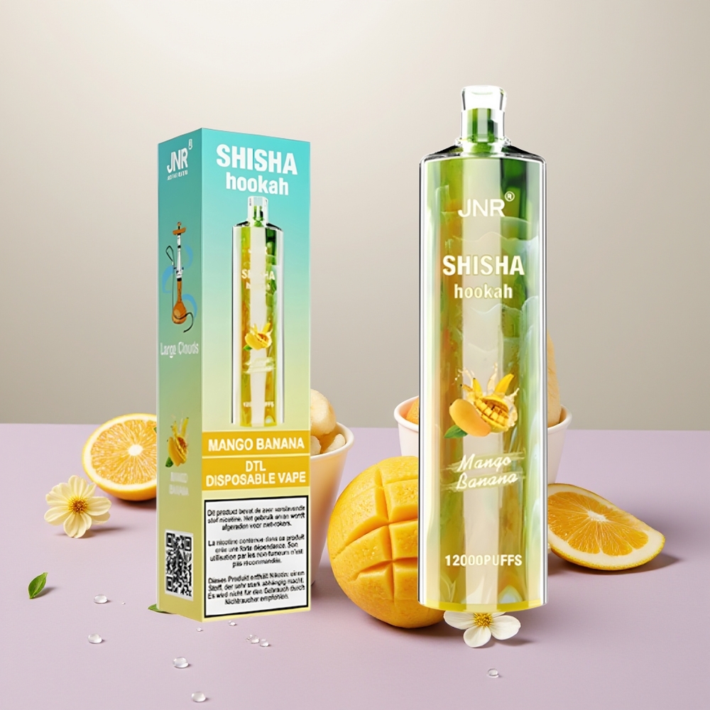 Wholesale Turkey JNR Shisha Hookah 12000 Puffs 750mAh Mango Muz