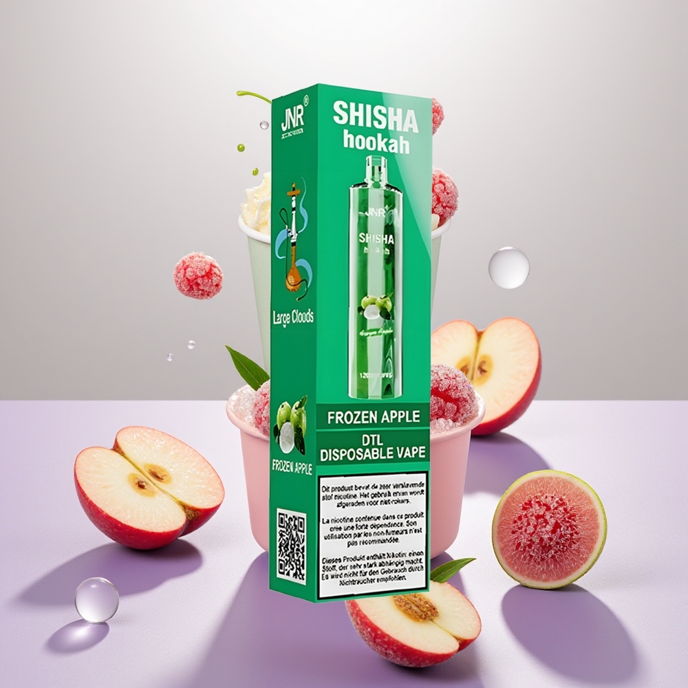Wholesale Turkey JNR Shisha Hookah 12000 Puffs 750mAh Type-C Dondurulmuş Elma