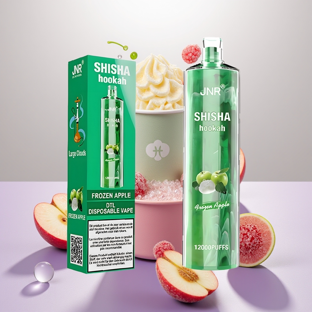 Wholesale Turkey JNR Shisha Hookah 12000 Puffs 750mAh Type-C Dondurulmuş Elma