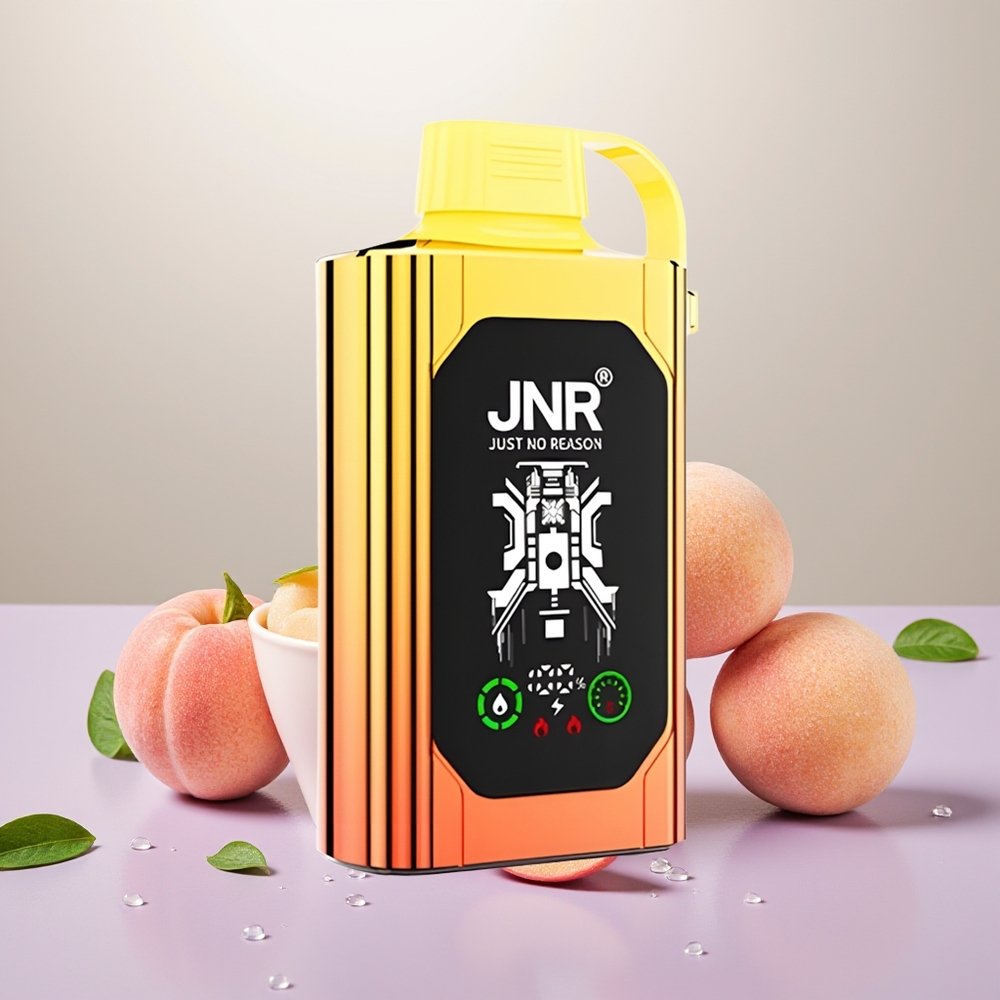 Wholesale Turkey JNR Shisha Hookah Box 20500 Puffs 25ml Juici Şeftali