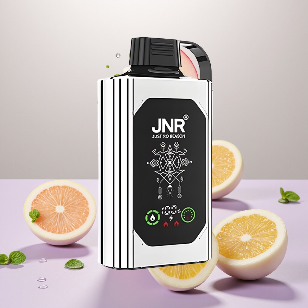 Wholesale Turkey JNR Shisha Hookah Box 20500 Puffs Dual Mesh Coil Double Kavun Nane