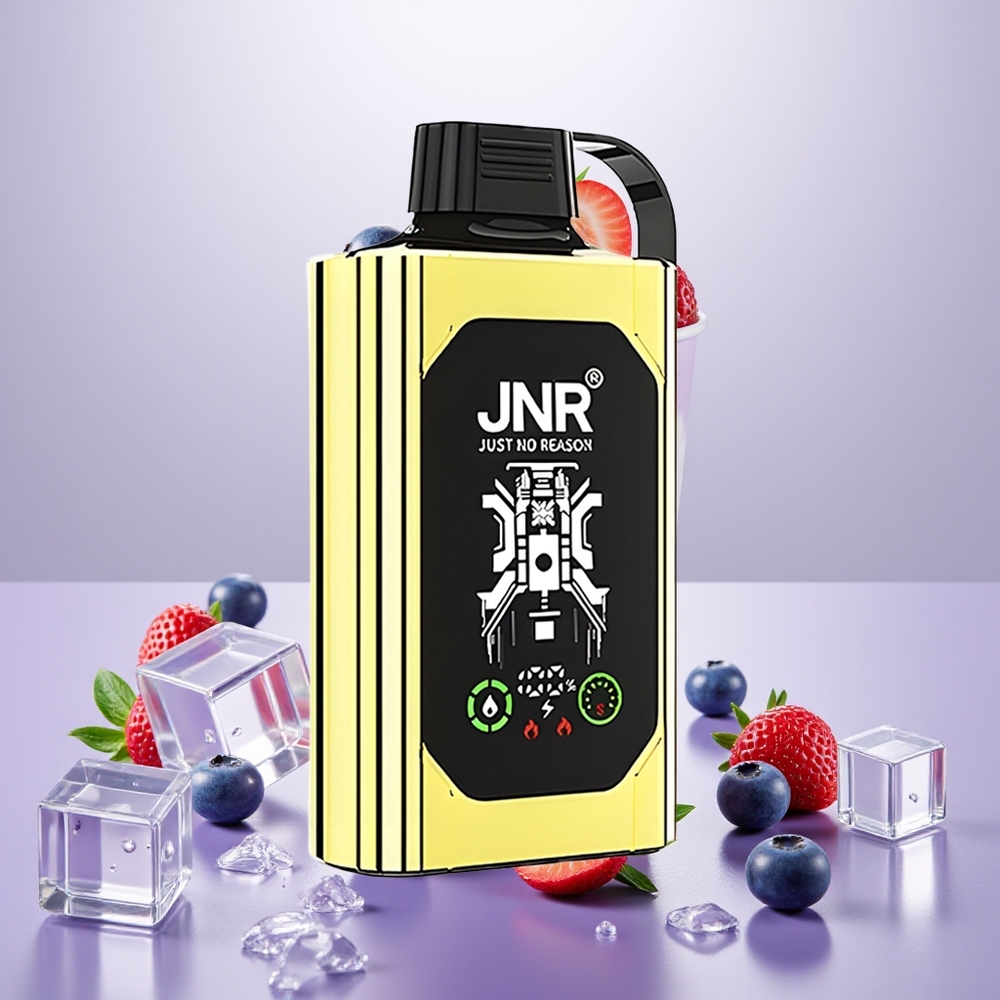 Wholesale Turkey JNR Shisha Hookah Box 20500 Puffs Dual Mesh Coil Type-C Quick Charge Yaban Mersini Buz