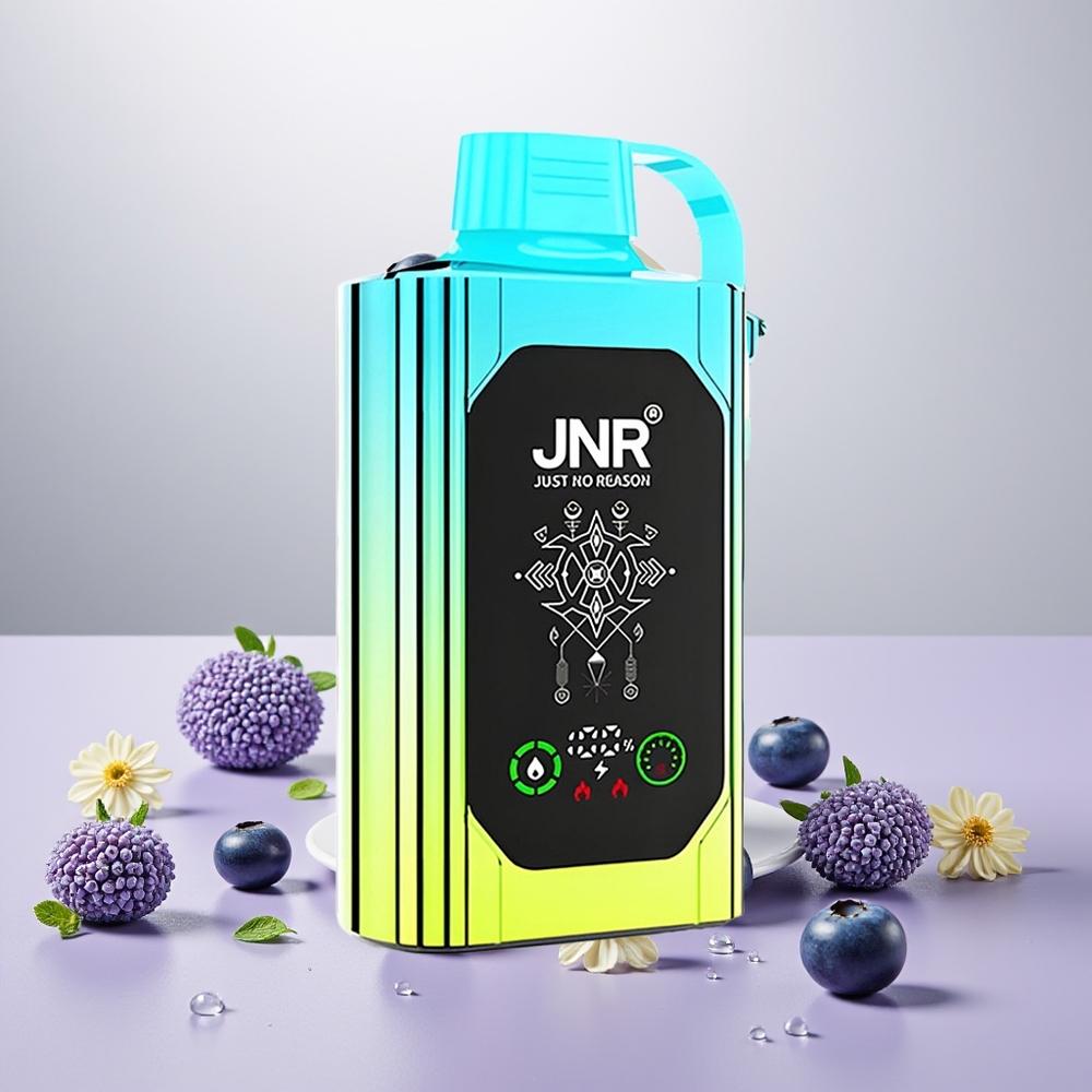 Wholesale Turkey JNR Shisha Hookah Box 20500 Puffs Dual Mesh Coil Type-C Quick Charge Yaban Mersini Nane